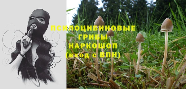 кокс Алзамай