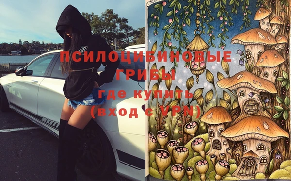 стаф Покров