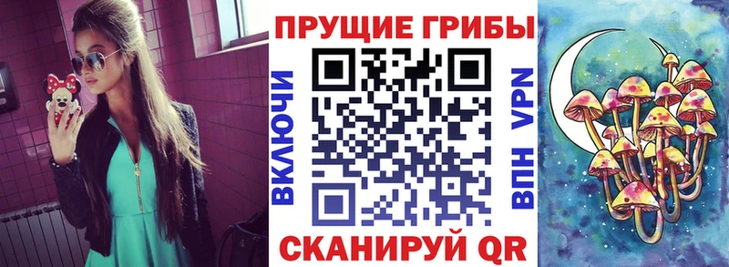 Псилоцибиновые грибы мицелий  Трубчевск 